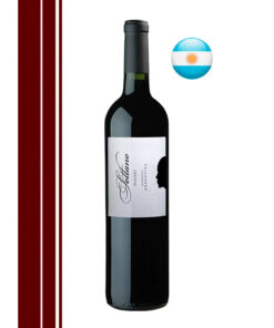 Vinho Argentino Tinto Sottano Malbec