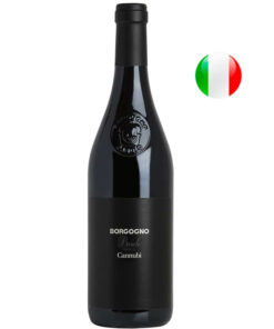 Vinho Borgogno Barolo Docg Cannubi