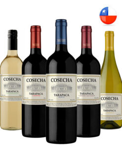 Kit 5 Vinhos Cosecha Tarapacá