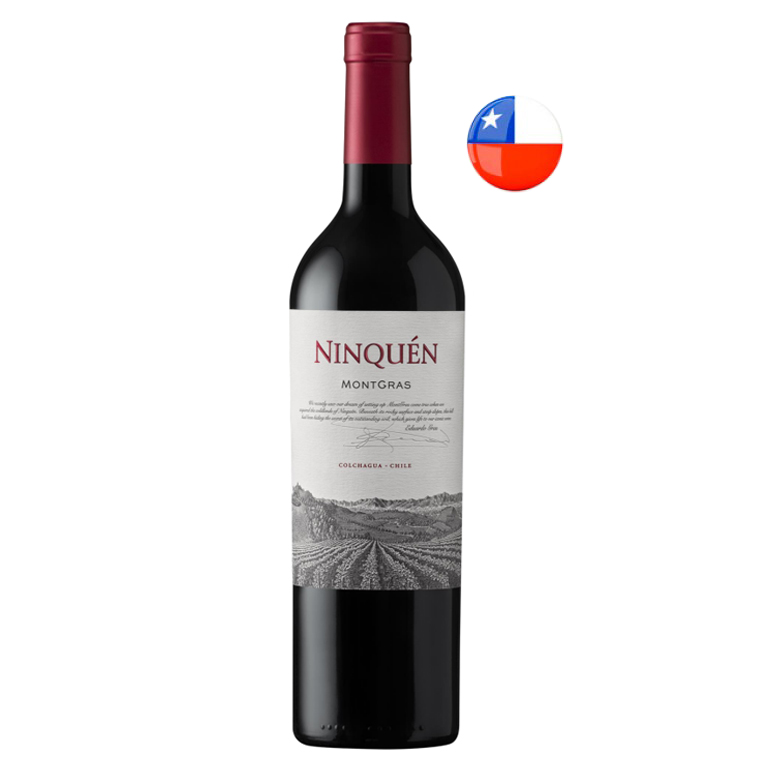 vinho-chileno-tinto-ninquem-especial-2022