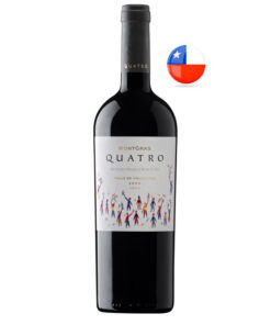 Vinho Quatro MontGras Chileno 750ml